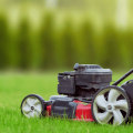 Why Hiring A Commercial Exterminator In Las Vegas Is Essential Before Starting Lawn Care