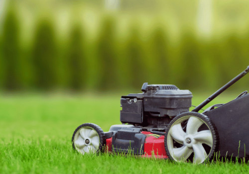 Why Hiring A Commercial Exterminator In Las Vegas Is Essential Before Starting Lawn Care